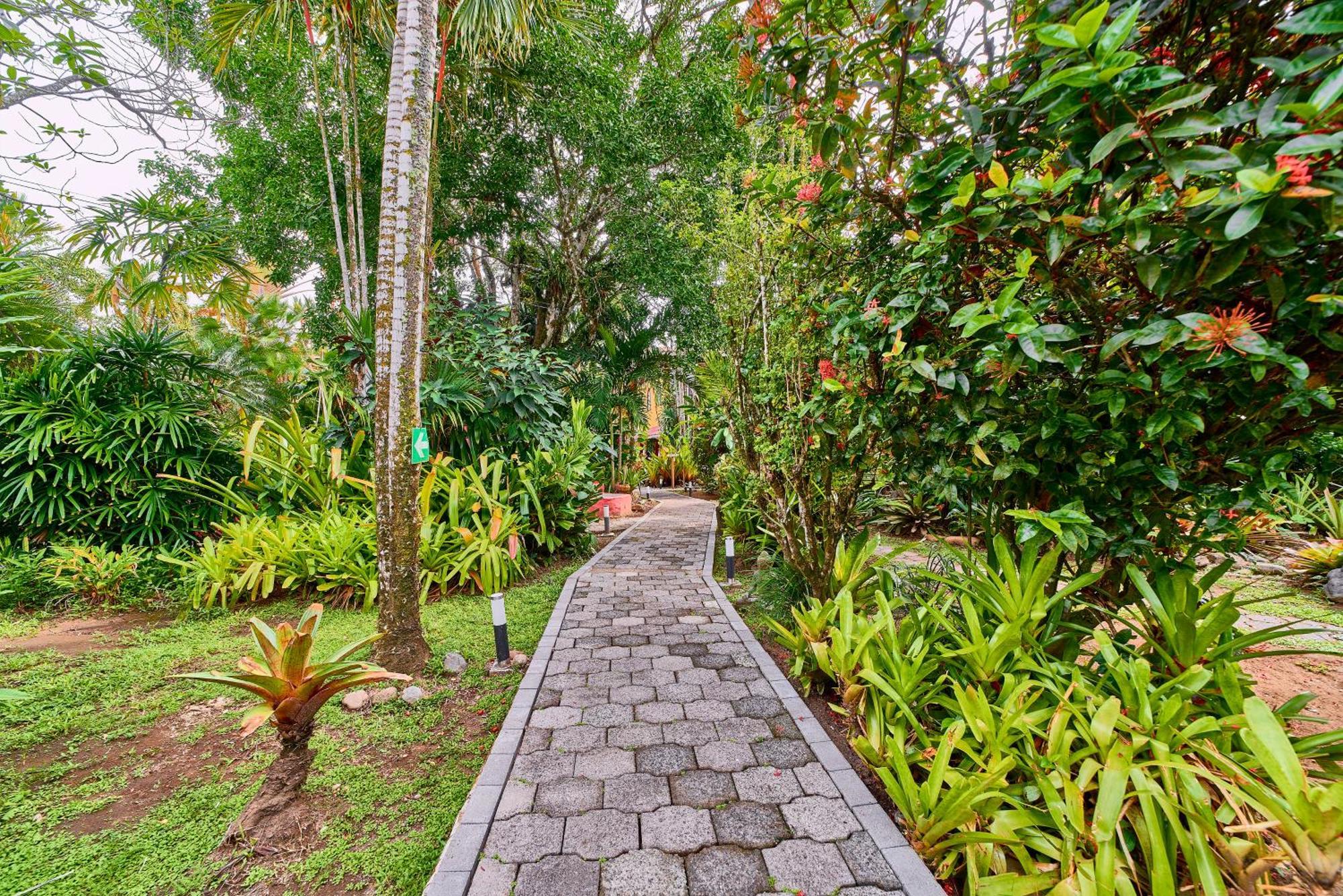 Hotel El Encanto カウイータ エクステリア 写真